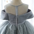 Silver Shine Dress Little Palace Store